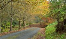 面向阳光春暖花开