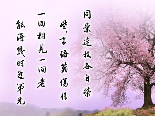优秀，击败，击败_150字