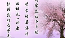 骄必败，败不馁_150字