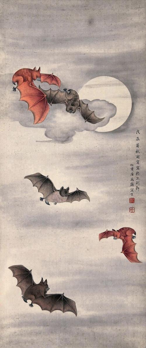 五个“蝙蝠”