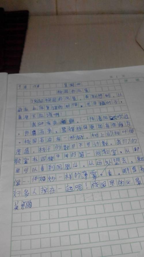 校园花床写作400字