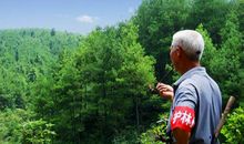 残疾儿童也是一道风景