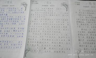 五年级组成推荐一本书400字