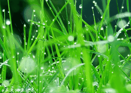听江南雨