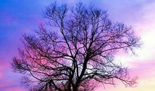 拥有一颗坚强的内心才能通往成功