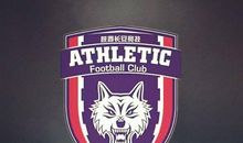 我是足球的铁杆粉