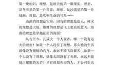 流星的梦想作文