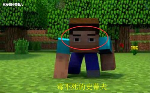 有趣的小黑