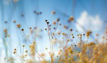 值得怀恋的美好