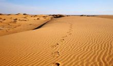 神奇的沙漠探险之旅作文