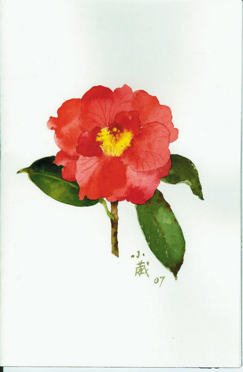 一朵花之后