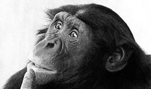 硅基思考还是碳基思考？