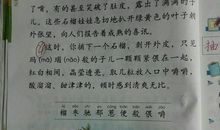 描写石榴的作文