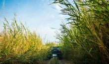 保护自然刻不容缓