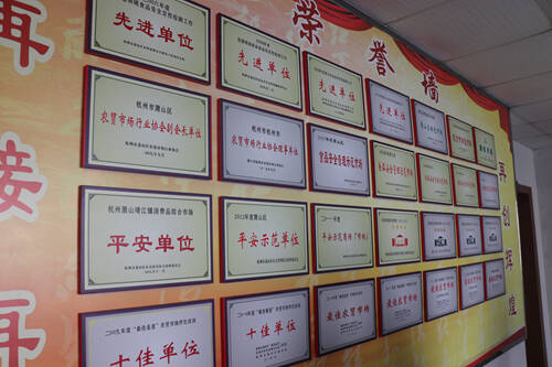 我眼中的萧山文明