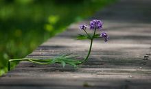 生活中处处有亲情