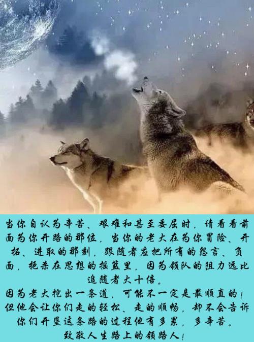 我心中的丝绸
