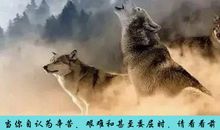 我心中的那一丝进取