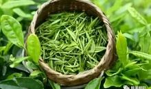 心朝阳光春暖花开