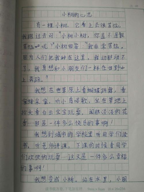 三级美妙的想象力组成