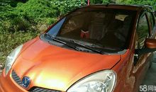 我生活在橘色的亲情之中