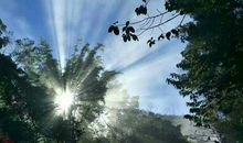 一滴泪落下需要多久