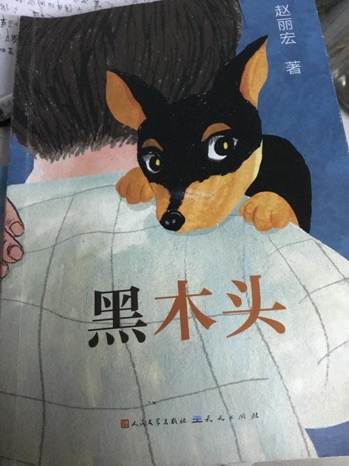您来自503班