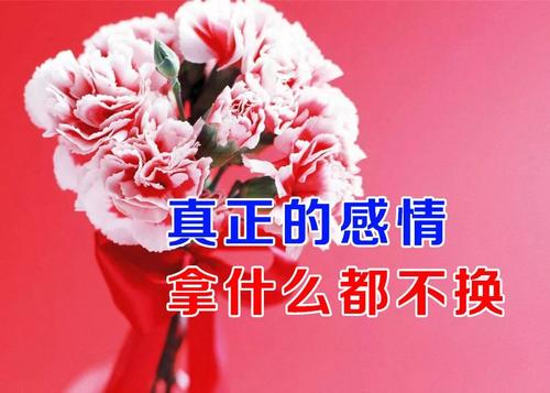 生命是真诚的