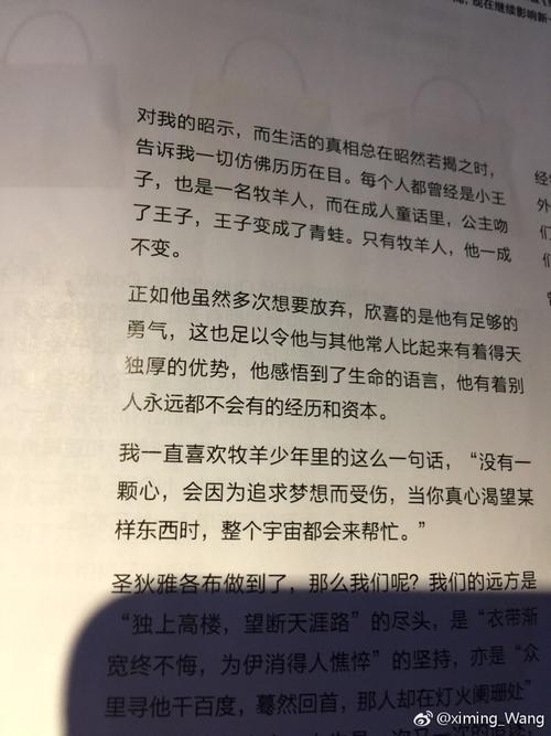 我理解一颗持续存在的心