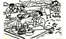 野餐看图写话二年级