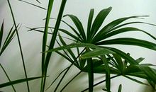 慢一点聆听生命