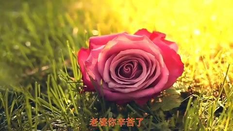 我喜欢这首歌。