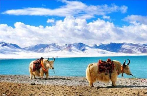 美丽的namholic湖