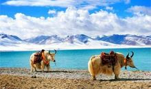 美丽的纳木错湖