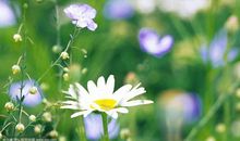 朋友让我悄悄告诉你