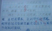 我喜爱的植物作文200字