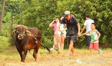 我还想做一个乡村的孩子