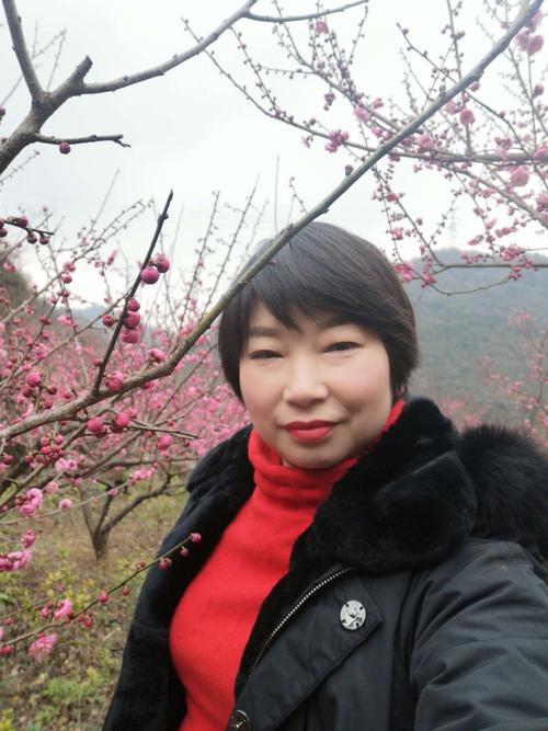 那年梅