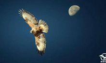 青春奉献风花雪月