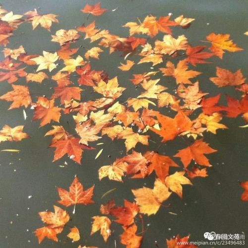举起持久性