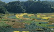 美啊！我的家乡