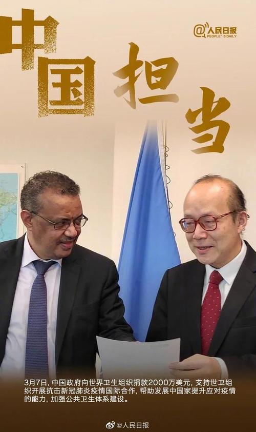 中国在流行病下的权力