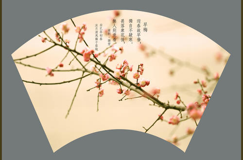 特殊感受