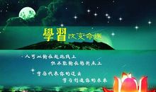 我有自己的选择