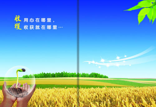 经营自己的优势