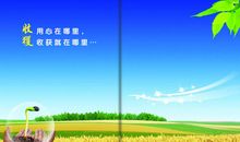 经营自己的长处