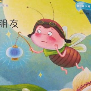 寻找朋友的小鹦鹉