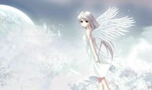 在风雨中翱翔的翅膀