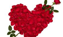 初二，我多了一份快乐