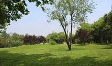 “美丽”的绿地